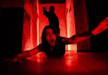 картинка Коллекционер от Квест Батл