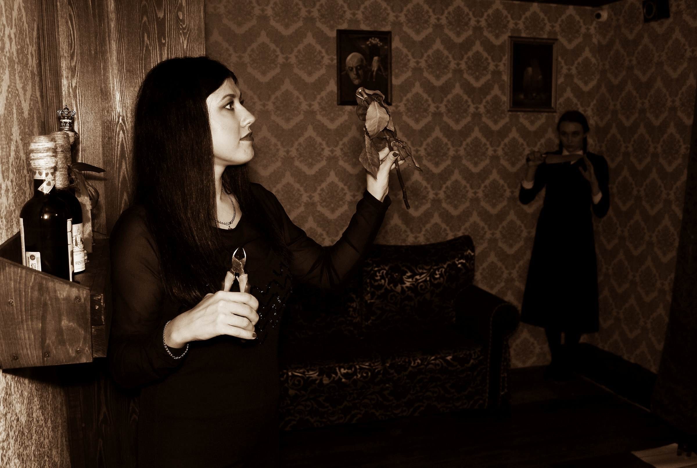 Фото квеста Ограбление особняка Аддамсов