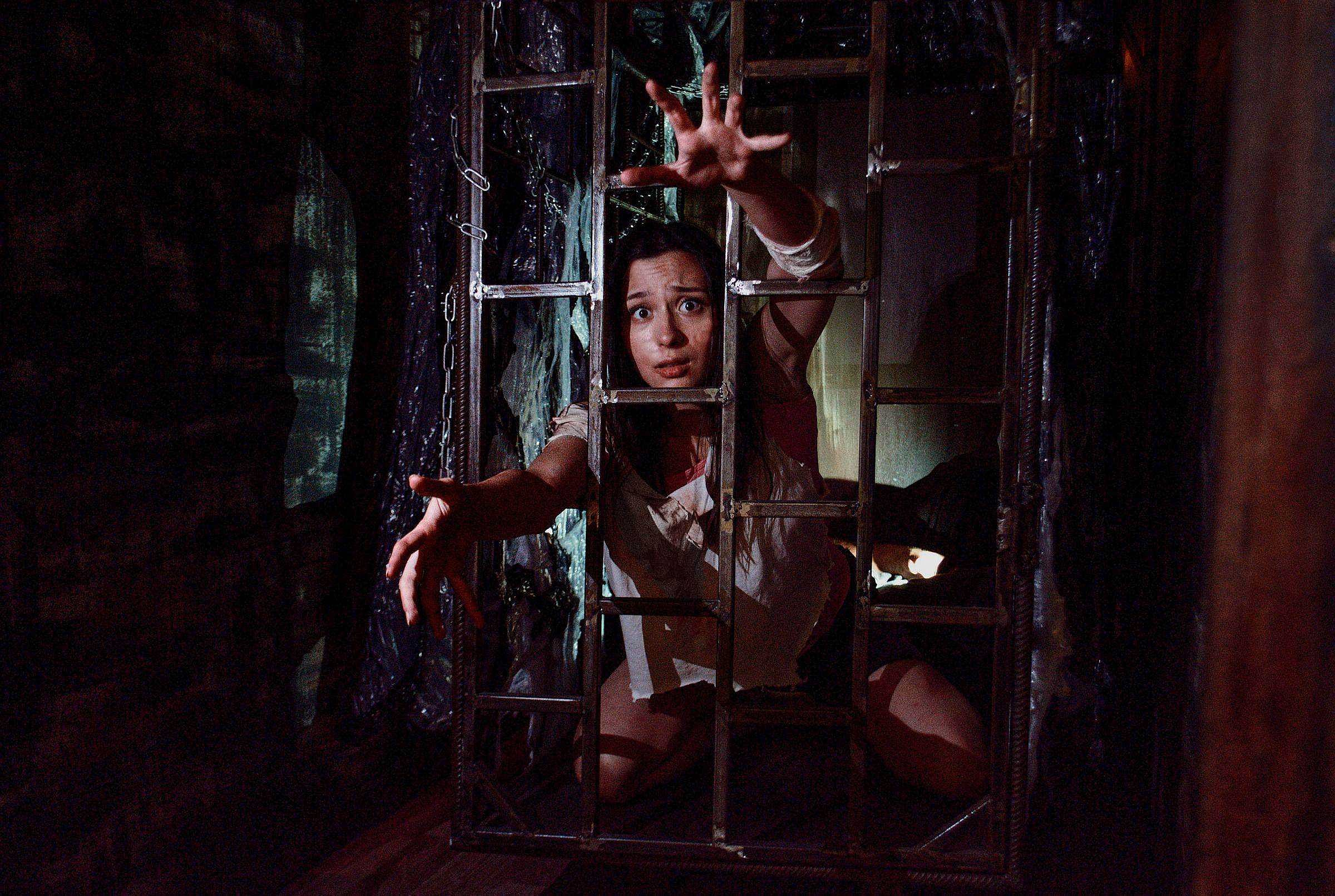 Фото квеста Псарня